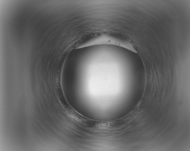 X0000054420084200508192108