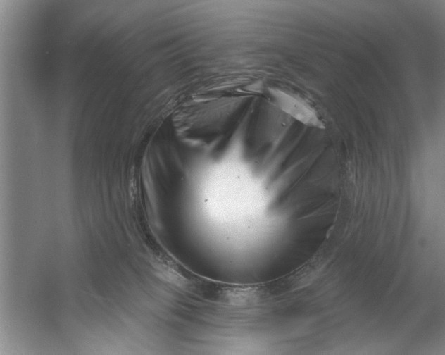 X0000054420085200508192108