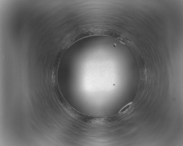 X0000054420086200508192108