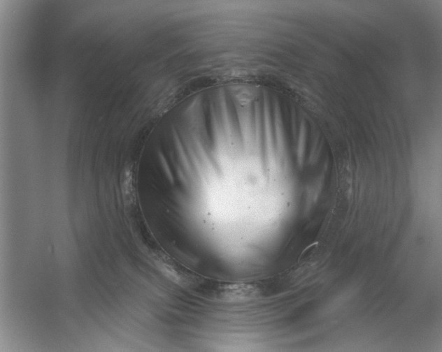 X0000054420087200508192108