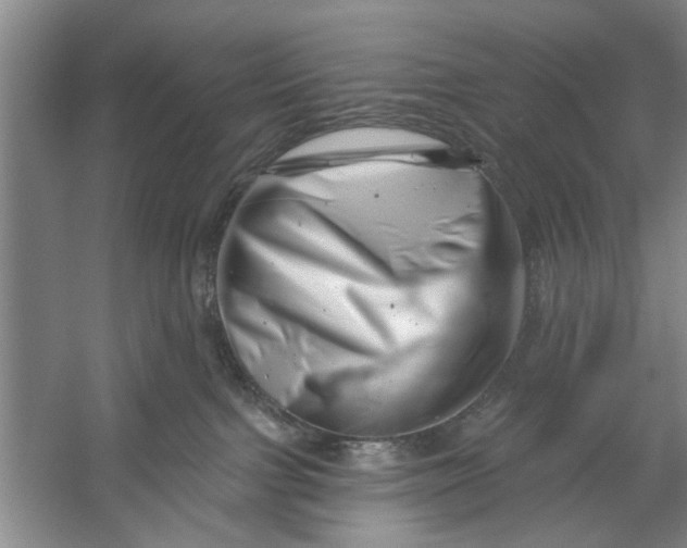 X0000054420091200508192109