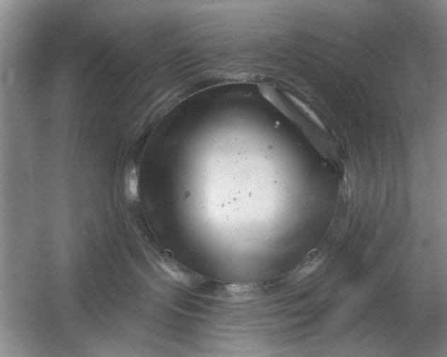 X0000054420095200508192109