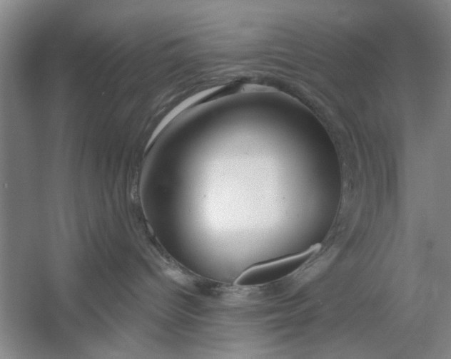 X0000054420096200508192109