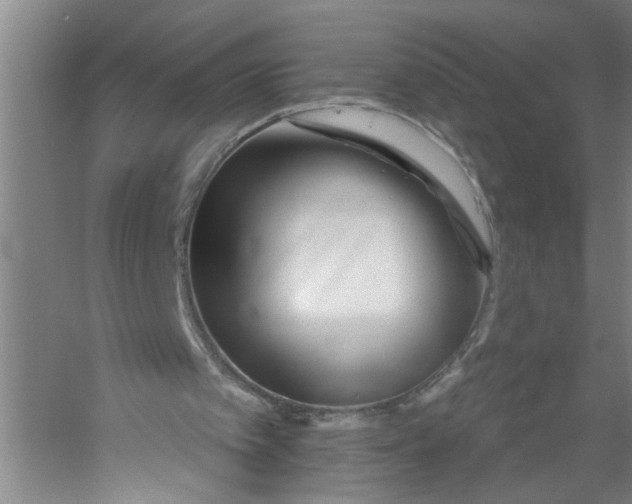X0000054420097200508192108