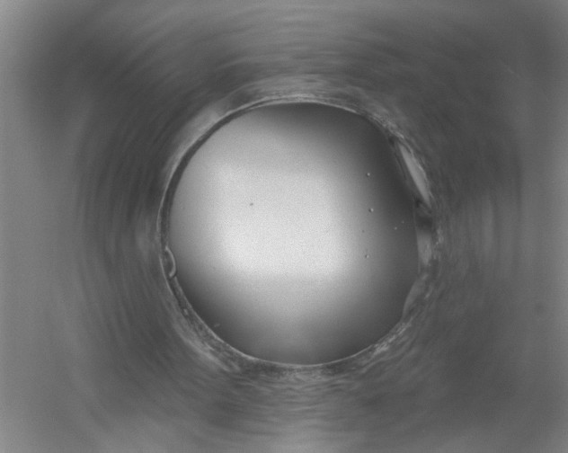 X0000054420099200508192108