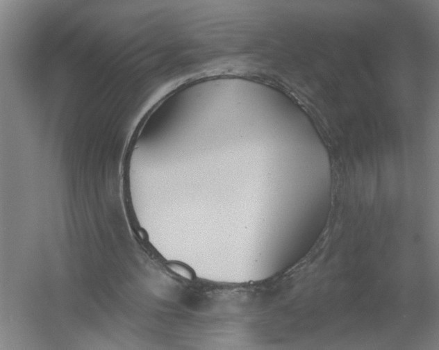 X0000054420100200508192108