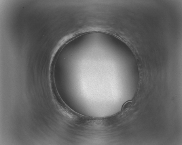X0000054420104200508192108