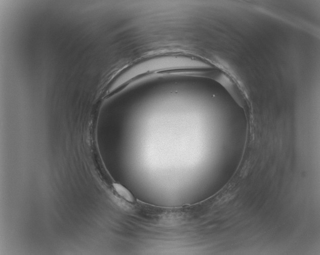 X0000054420105200508192108