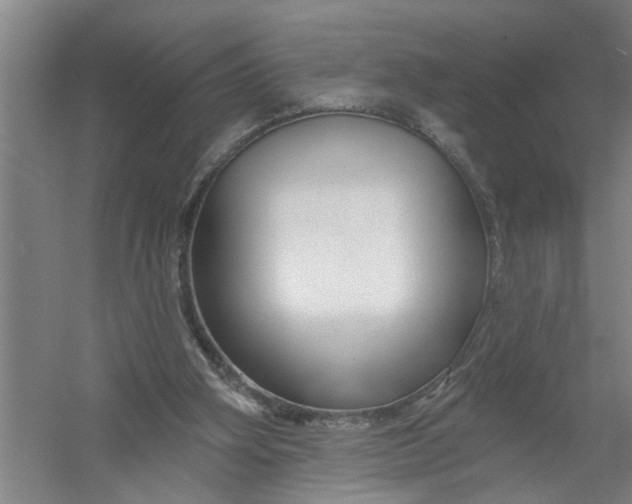 X0000054420106200508192108