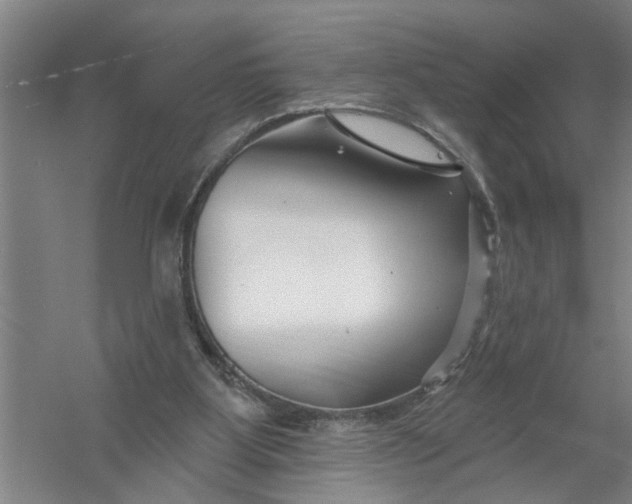 X0000054420107200508192108