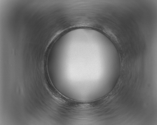 X0000054420108200508192108