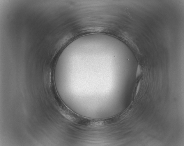 X0000054420110200508192108