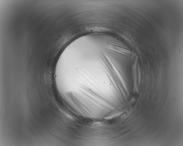 X0000054420111200508192108