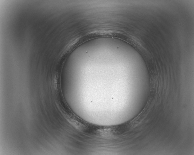 X0000054420120200508192107