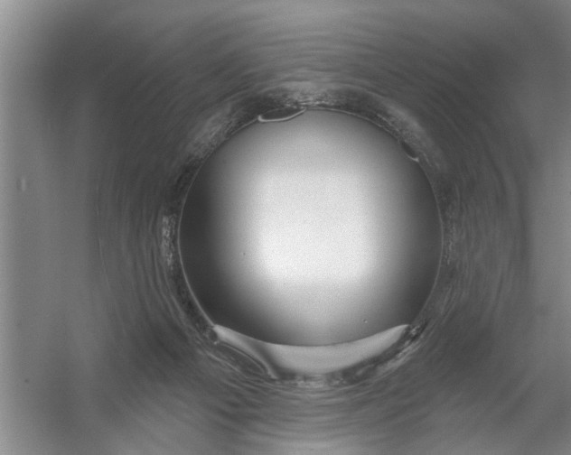 X0000054420121200508192107