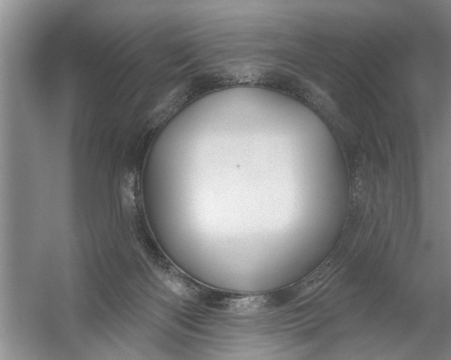 X0000054420122200508192107