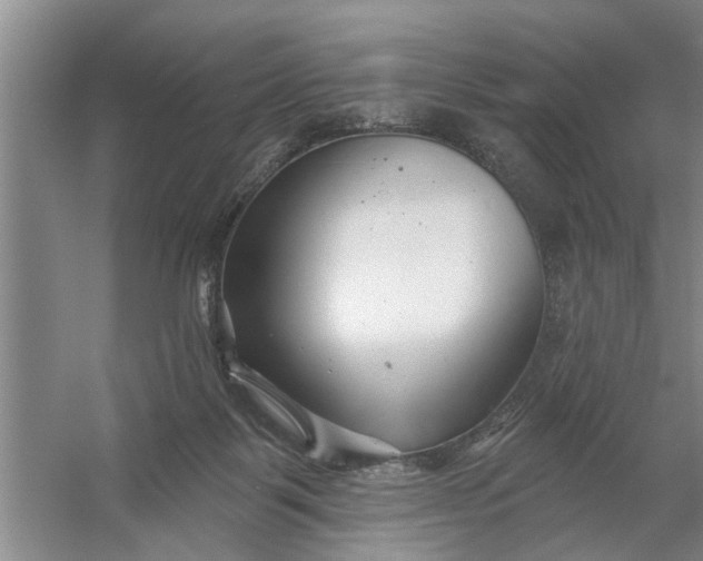 X0000054420123200508192107