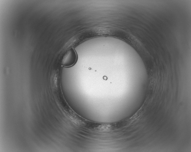 X0000054420124200508192107