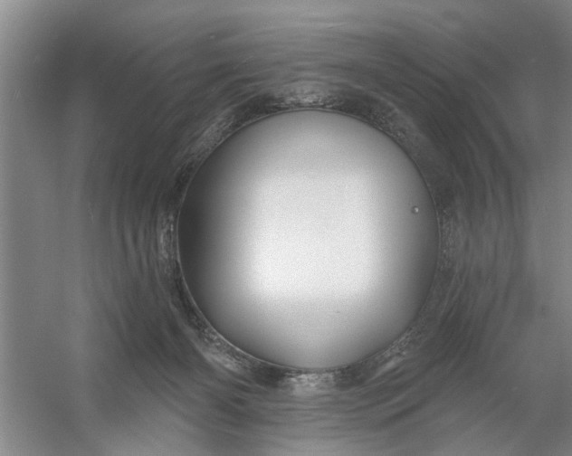 X0000054420126200508192107