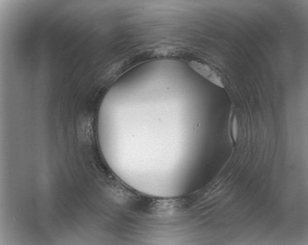 X0000054420127200508192107