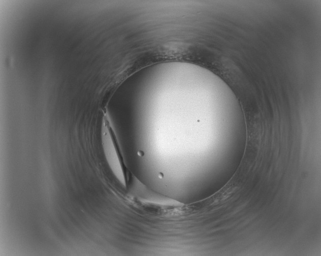 X0000054420131200508192107