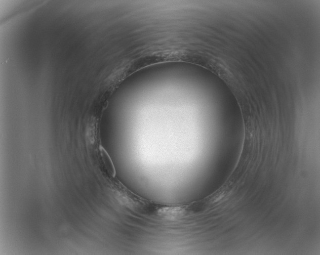 X0000054420133200508192107