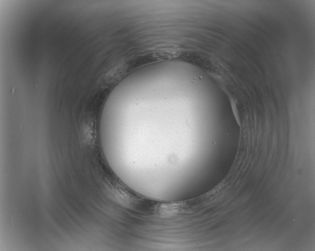 X0000054420134200508192107