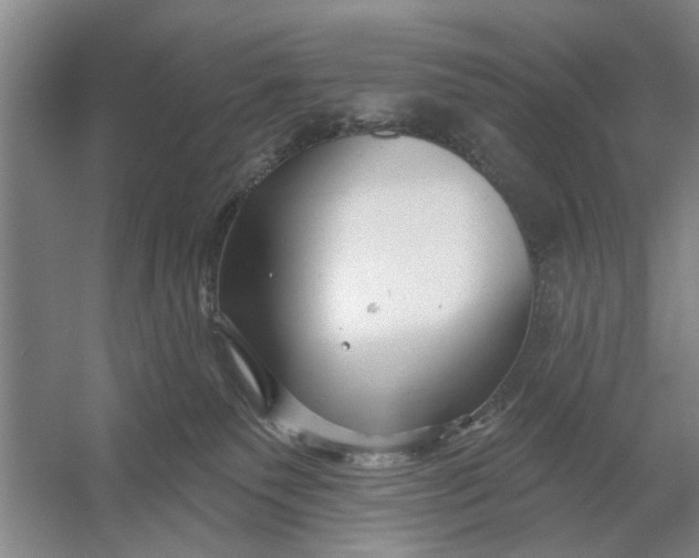 X0000054420135200508192107