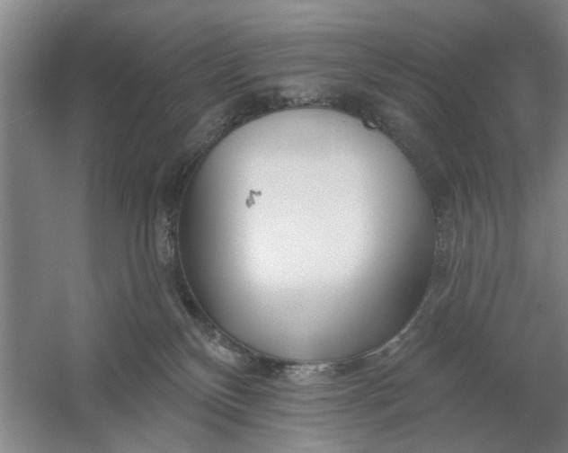 X0000054420136200508192107