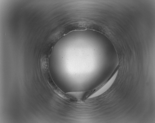 X0000054420137200508192107