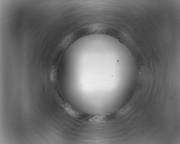 X0000054420138200508192107