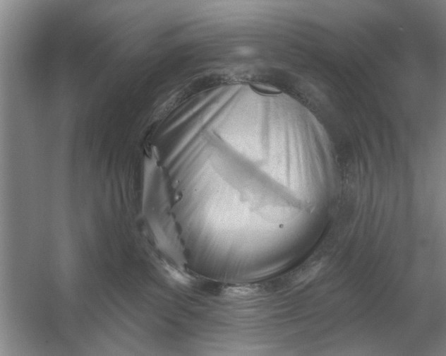 X0000054420139200508192107