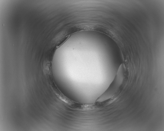 X0000054420141200508192107