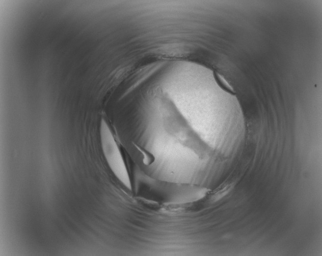 X0000054420143200508192107