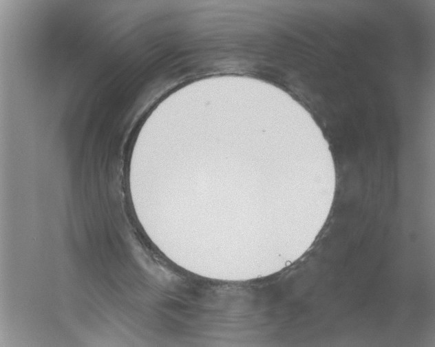 X0000054420146200508192106