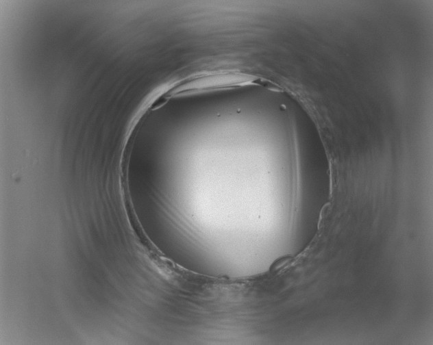X0000054420147200508192106