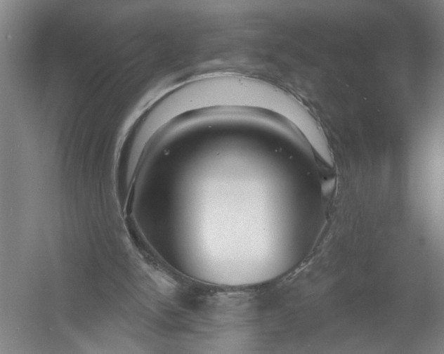 X0000054420150200508192106