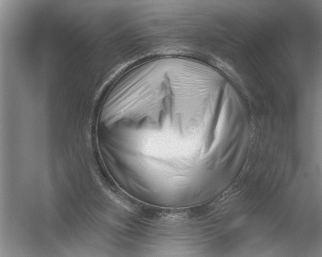 X0000054420155200508192106
