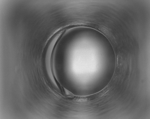 X0000054420156200508192106