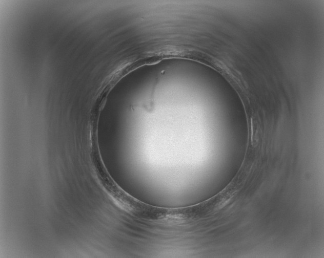 X0000054420157200508192106