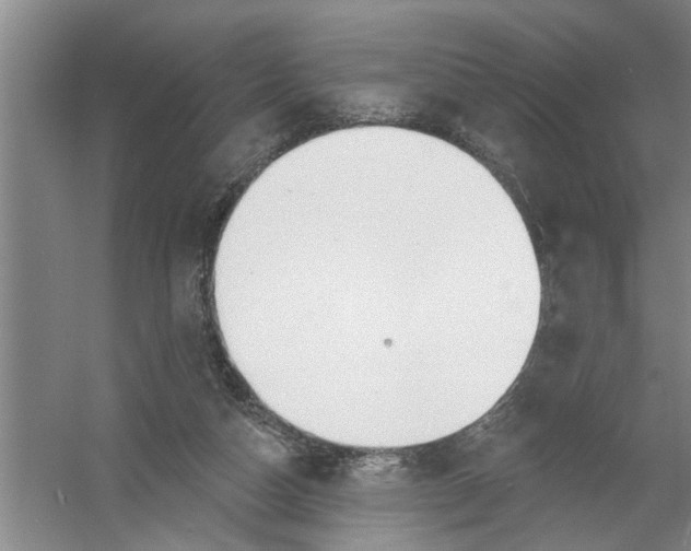 X0000054420162200508192106