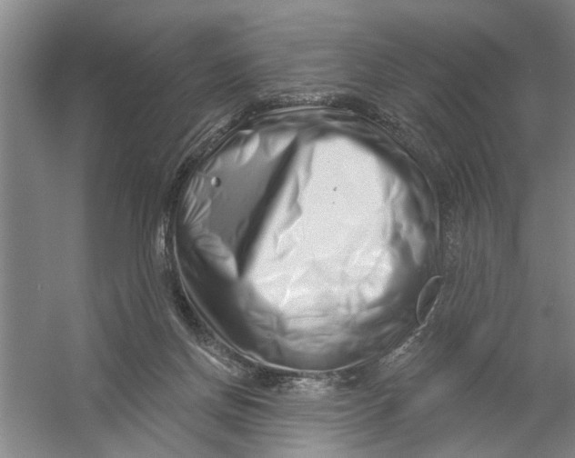 X0000054420166200508192107