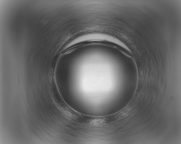 X0000054420168200508192107