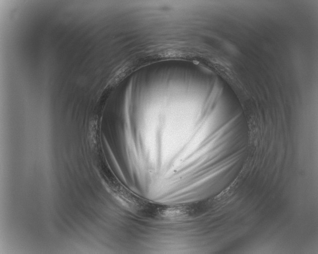 X0000054420171200508192107