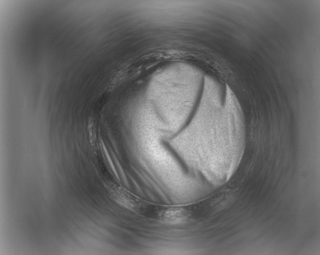 X0000054420173200508192107