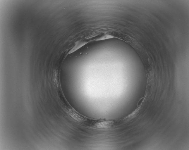 X0000054420178200508192107