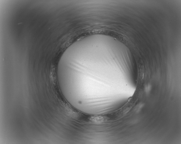 X0000054420181200508192107