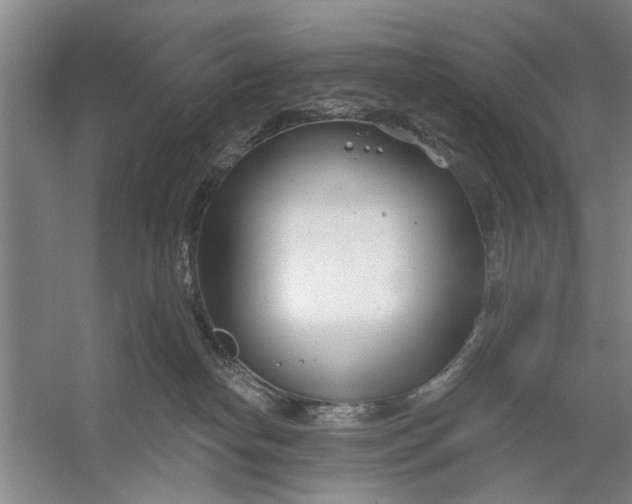 X0000054420182200508192107