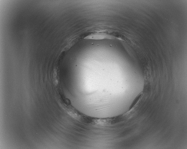 X0000054420187200508192107
