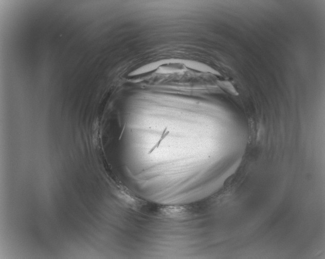 X0000054420189200508192107